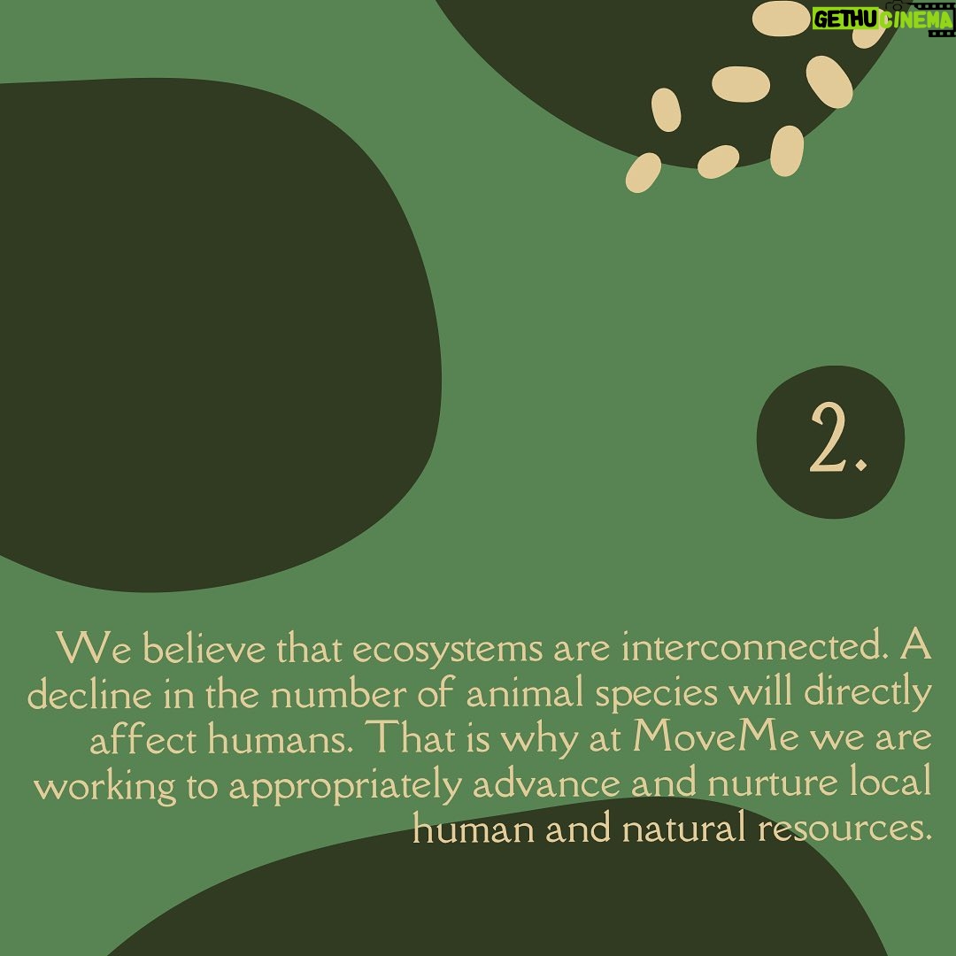 Briana Evigan Instagram - Our top 3 reasons on why we believe animal conservation is important. Why do you think animal conservation is important? Let us know in the comments below! π . #MoveMe #africa #southafrica #empowerment #communityfirst #humanity