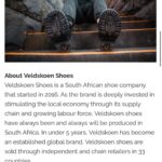 Briana Evigan Instagram - Thank you @lifestyling.co.za for the awesome article for the @moveme.studio and @veldskoenshoes social impact shoe. Click link in bio to get yours 🌏