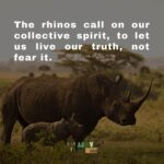 Briana Evigan Instagram – This is who we are fighting for. Each animal has value to the earth that just cannot be measured. Their life matters to us, and is something we are fighting for. The abundance of the biodiversity of Africa is hurtling towards crisis. We need to change direction fast, like the leopard on the plains. If you can hear the voices of the world, join our MoveMe. Together, we can put love into motion. #MoveMeStudio #MoveMe