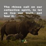 Briana Evigan Instagram - This is who we are fighting for. Each animal has value to the earth that just cannot be measured. Their life matters to us, and is something we are fighting for. The abundance of the biodiversity of Africa is hurtling towards crisis. We need to change direction fast, like the leopard on the plains. If you can hear the voices of the world, join our MoveMe. Together, we can put love into motion. #MoveMeStudio #MoveMe