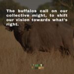 Briana Evigan Instagram - This is who we are fighting for. Each animal has value to the earth that just cannot be measured. Their life matters to us, and is something we are fighting for. The abundance of the biodiversity of Africa is hurtling towards crisis. We need to change direction fast, like the leopard on the plains. If you can hear the voices of the world, join our MoveMe. Together, we can put love into motion. #MoveMeStudio #MoveMe