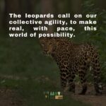 Briana Evigan Instagram - This is who we are fighting for. Each animal has value to the earth that just cannot be measured. Their life matters to us, and is something we are fighting for. The abundance of the biodiversity of Africa is hurtling towards crisis. We need to change direction fast, like the leopard on the plains. If you can hear the voices of the world, join our MoveMe. Together, we can put love into motion. #MoveMeStudio #MoveMe
