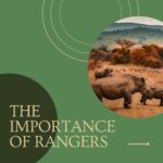 Briana Evigan Instagram - There are many reasons as to why rangers are important, from wildlife conservation to the preservation of our eco-systems. Their dedication and hard work deserves endless recognition and support. #conservation #africa #communityfirst #foodsecurity #sustainability