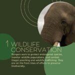 Briana Evigan Instagram - There are many reasons as to why rangers are important, from wildlife conservation to the preservation of our eco-systems. Their dedication and hard work deserves endless recognition and support. #conservation #africa #communityfirst #foodsecurity #sustainability
