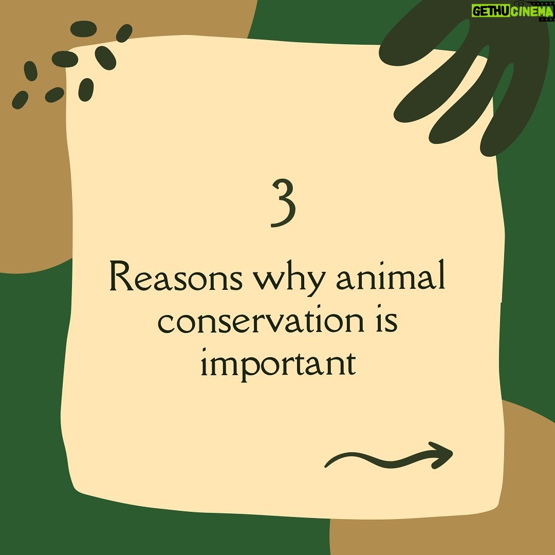 Briana Evigan Instagram - Our top 3 reasons on why we believe animal conservation is important. Why do you think animal conservation is important? Let us know in the comments below! π . #MoveMe #africa #southafrica #empowerment #communityfirst #humanity
