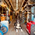 Brianna Baker Instagram – Jack is at the age where when he comes to work with me, he has learn skills to start pulling his own weight in this house. He is still a newborn baby, but an apprenticeship is good for building his character.
🤪 🤡 🥹 🐾 #dogsofinstagram Fox Studios