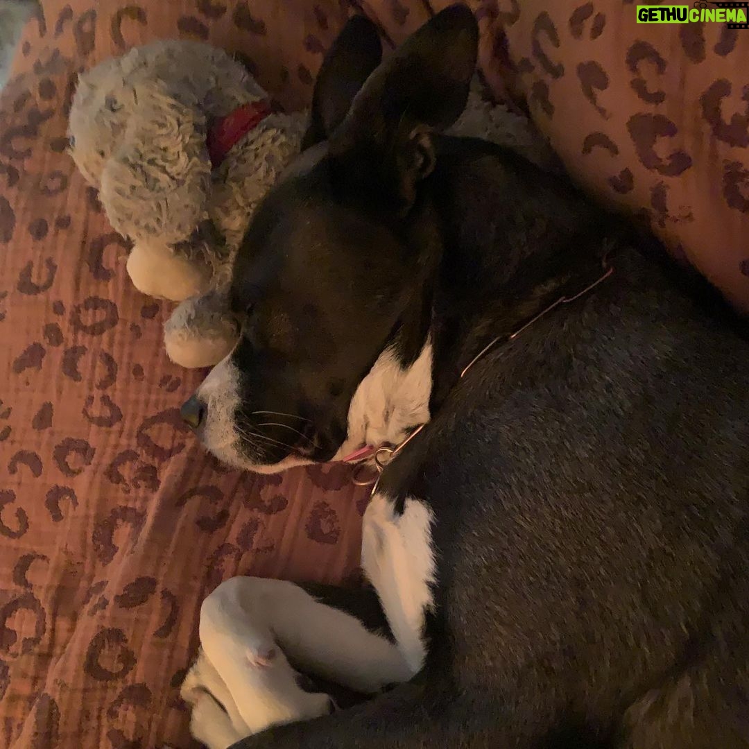 Brianna Baker Instagram - King Jackintosh Tootsie Poppa❤️