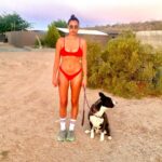 Brianna Baker Instagram - For #nationaldogday I have to post my BFF/son, King Jackintosh Poppa Baker. Couldn’t love him more if I tried. Throwback to our trip to the desert in May. Just us. I took a tripod because I wanted a desert family photo. As usual, he was such great company and I love him so!