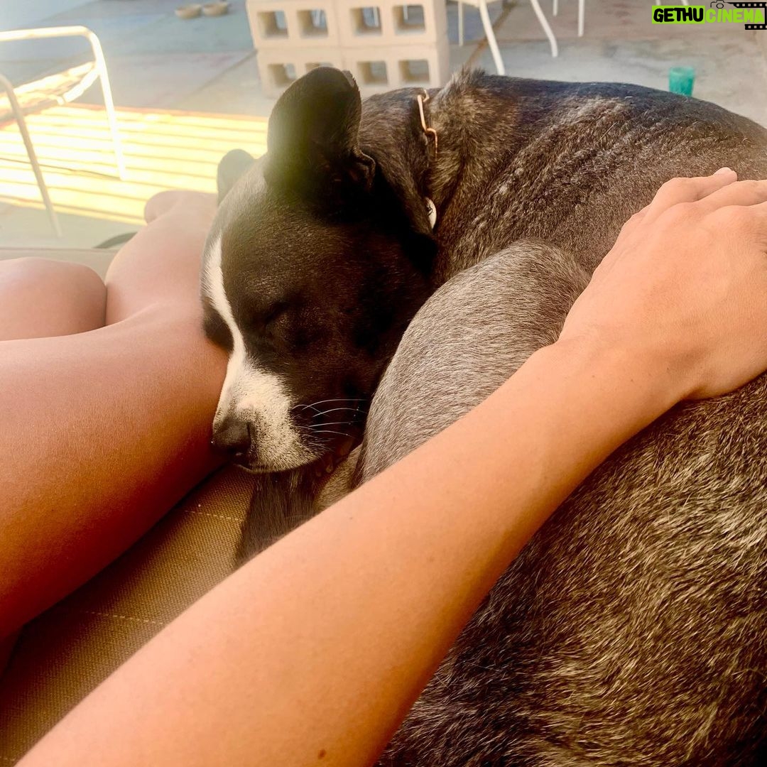 Brianna Baker Instagram - For #nationaldogday I have to post my BFF/son, King Jackintosh Poppa Baker. Couldn’t love him more if I tried. Throwback to our trip to the desert in May. Just us. I took a tripod because I wanted a desert family photo. As usual, he was such great company and I love him so!