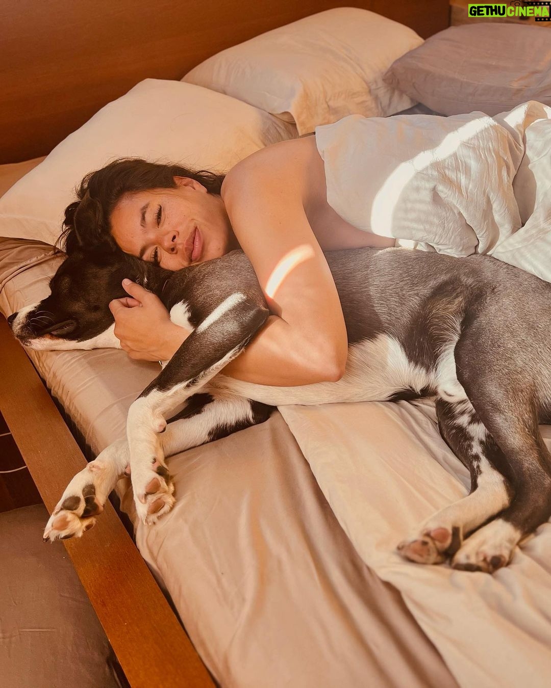 Brianna Baker Instagram - Happy International Dog Day to my son, King Jack Poppa! He still won’t really bark. I think the last time I heard him bark was several months ago. Perhaps he is a master communicator because he doesn’t bark and rarely lets out any sound. All energy, eyes and using his dog hands to let me know what’s up. He has a chonky booty and is the sweetest soul there is. I LERVE HIM and so does anyone that knows him. Long Live the King 👑 🐕 ❤️⚡️🥇 #internationaldogday #pitsky
