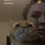 Bridget Regan Instagram - Eamon and Frankie were away somewhere, most likely San Diego. I was home, but not alone because Henry (that’s the thing about pets, right) It was summer night and a fat fly had been slow buzzing around the apartment all evening. I was trying to get to sleep early, I had an early call the next morning for ‘The Last Ship.’ Henry was on the bed, eyes mostly shut, sometimes clocking me as I chased this asshole fly around. I knew the loud buzz would keep me awake. After many failed attempts, I gave up. The fly won. I went into the bedroom to try and get some sleep. Before I turned off the lights, the fly came in again. My frustration boiled. Then, in one swift motion, Henry reached both of his paws up above his head as he stretched up long on his hind legs and clapped his paws together and then slammed them down on the bed. He sniffed inside his paws and… ate the fly, tilting his head to one side as he chomped open mouthed while looking at me like, “Easy.” Never had I been more proud. What a boy. My Henry. My Hee Raa, my Hee Dah Mow Mow, the Razzle Dazzle Ree Rah.