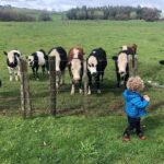 Bridget Regan Instagram - Curls and cows Aotearoa