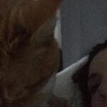 Bridget Regan Instagram - Eamon and Frankie were away somewhere, most likely San Diego. I was home, but not alone because Henry (that’s the thing about pets, right) It was summer night and a fat fly had been slow buzzing around the apartment all evening. I was trying to get to sleep early, I had an early call the next morning for ‘The Last Ship.’ Henry was on the bed, eyes mostly shut, sometimes clocking me as I chased this asshole fly around. I knew the loud buzz would keep me awake. After many failed attempts, I gave up. The fly won. I went into the bedroom to try and get some sleep. Before I turned off the lights, the fly came in again. My frustration boiled. Then, in one swift motion, Henry reached both of his paws up above his head as he stretched up long on his hind legs and clapped his paws together and then slammed them down on the bed. He sniffed inside his paws and… ate the fly, tilting his head to one side as he chomped open mouthed while looking at me like, “Easy.” Never had I been more proud. What a boy. My Henry. My Hee Raa, my Hee Dah Mow Mow, the Razzle Dazzle Ree Rah.
