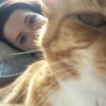 Bridget Regan Instagram - Eamon and Frankie were away somewhere, most likely San Diego. I was home, but not alone because Henry (that’s the thing about pets, right) It was summer night and a fat fly had been slow buzzing around the apartment all evening. I was trying to get to sleep early, I had an early call the next morning for ‘The Last Ship.’ Henry was on the bed, eyes mostly shut, sometimes clocking me as I chased this asshole fly around. I knew the loud buzz would keep me awake. After many failed attempts, I gave up. The fly won. I went into the bedroom to try and get some sleep. Before I turned off the lights, the fly came in again. My frustration boiled. Then, in one swift motion, Henry reached both of his paws up above his head as he stretched up long on his hind legs and clapped his paws together and then slammed them down on the bed. He sniffed inside his paws and… ate the fly, tilting his head to one side as he chomped open mouthed while looking at me like, “Easy.” Never had I been more proud. What a boy. My Henry. My Hee Raa, my Hee Dah Mow Mow, the Razzle Dazzle Ree Rah.