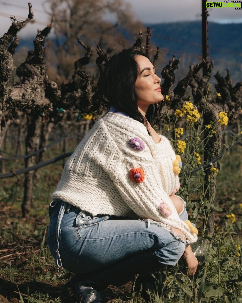Brie Garcia Instagram - Live simply, bloom wildly 🌼🌼🌼 #mindfulmonday