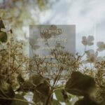 Brie Garcia Instagram - “I’m going to make everything around me beautiful - that will be my life.” -Elsie de Wolfe 🌸 #mindfulmonday