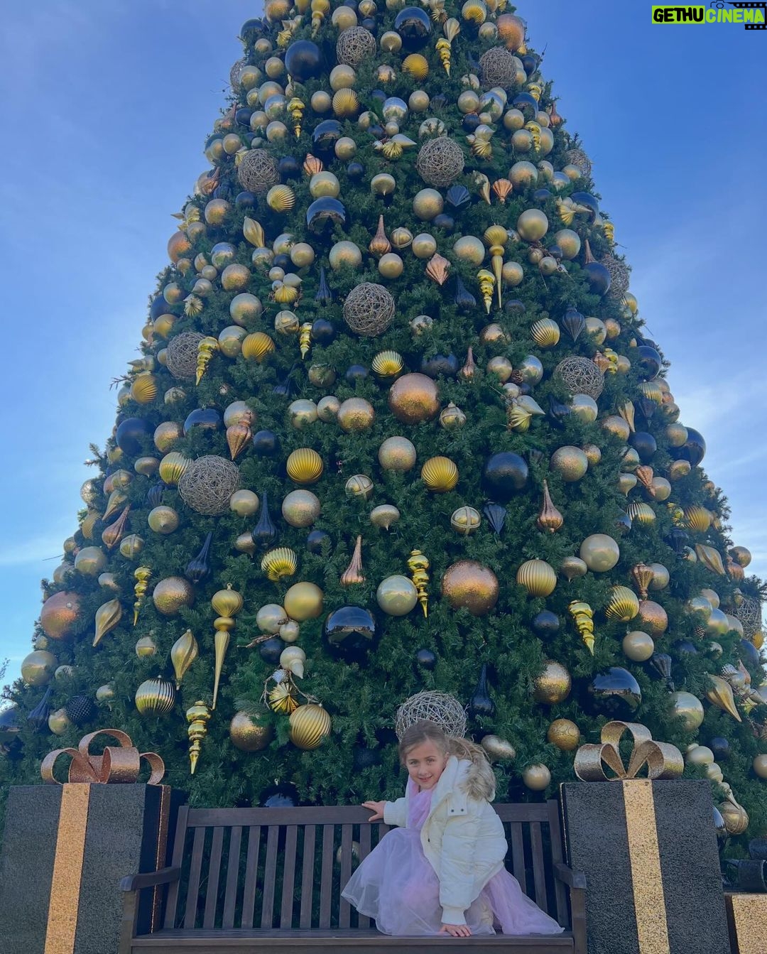 Brie Garcia Instagram - Tinsel Tea Time with Belle 🫖💛📚