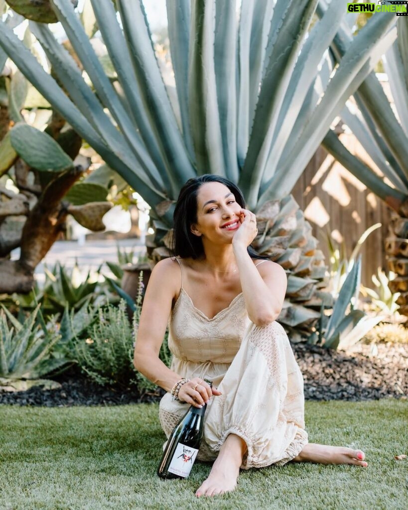 Brie Garcia Instagram - Bubbles for the weekend! 🍾 @bonitabonitawine
