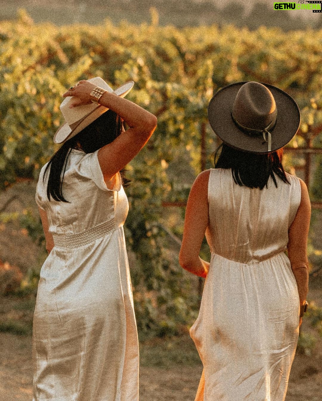 Brie Garcia Instagram - So excited for all the fall vibes we’re starting to feel here in wine country 🍂