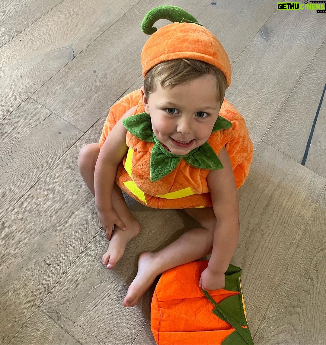 Brie Garcia Instagram - Buddy’s costume came in which means this will be his daily attire till November 😂🎃 I actually don’t mind because he’s the cutest pumpkin I’ve ever seen!!