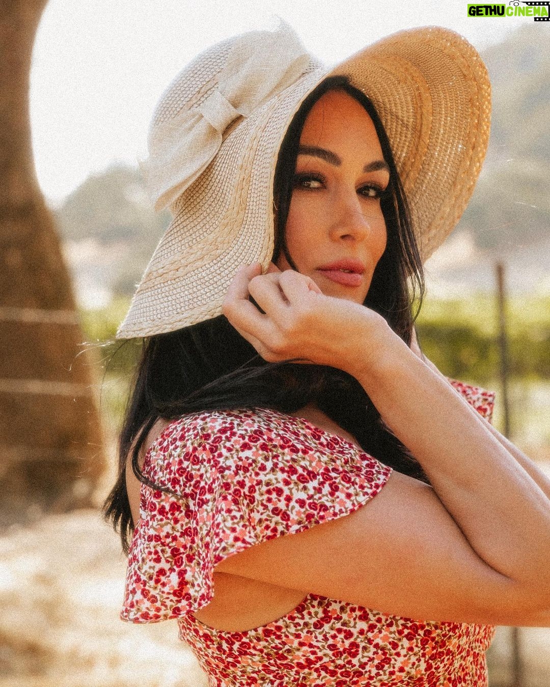 Brie Garcia Instagram - Strolling through Napa Valley 🍇
