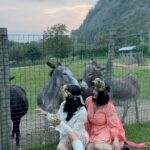 Brie Garcia Instagram – Ciao Italy!! 🫶🏽🫶🏽🫶🏽
Sad to leave but can’t wait to squeeze my babies and hubby.
I planned this trip to fulfill a long time dream of becoming a florist. When I saw Christina’s @bellevuefloralco email about a fluer retreat in Lake Como it felt like everything aligned. Italy, flowers and vino!! I mean!! ✨🇮🇹🍝💐Timing was perfect and having a big birthday around the corner, 40 in November, made me feel I could make this trip a special birthday. 🥳🎉
Will I become a florist!!?? Unfortunately No….it’s a lot of work!! Tough labor goes into flower shops, weddings, bouquets etc. so please hug your local florist!! Their labor of love is no joke!!!! 🌼
But I did get inspired to bring flowers into our wine business as we are putting our tasting room together. Fluer making and wine tasting is just fantastico!! You’ll feel a little Nikki and a little Brie as you taste @bonitabonitawine 🥂
Lake Life always reminds you to take a breath, relax and unwind. Italians definitely remind you to slow down, laugh, love, eat and drink!! All the architecture and history tell us that when made in love and hard work it’ll stand forever. ❤️❤️❤️
I thought Lake Como would be a place I’d mark off my bucket list but it’s a place I’ll keep coming back to. I made some amazing friends and I sent Bryan hundreds of pictures I’d love him to experience with me.
It was hard to be away from the family but I’m grateful I finally got to do something I always dreamt about. Veni, vidi, vici.