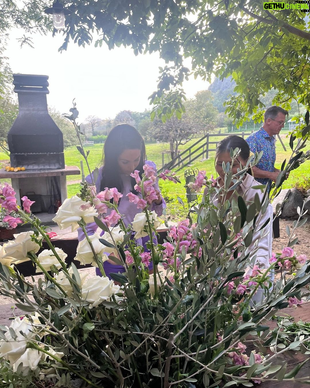 Brie Garcia Instagram - Another magical day on the farm 🌷