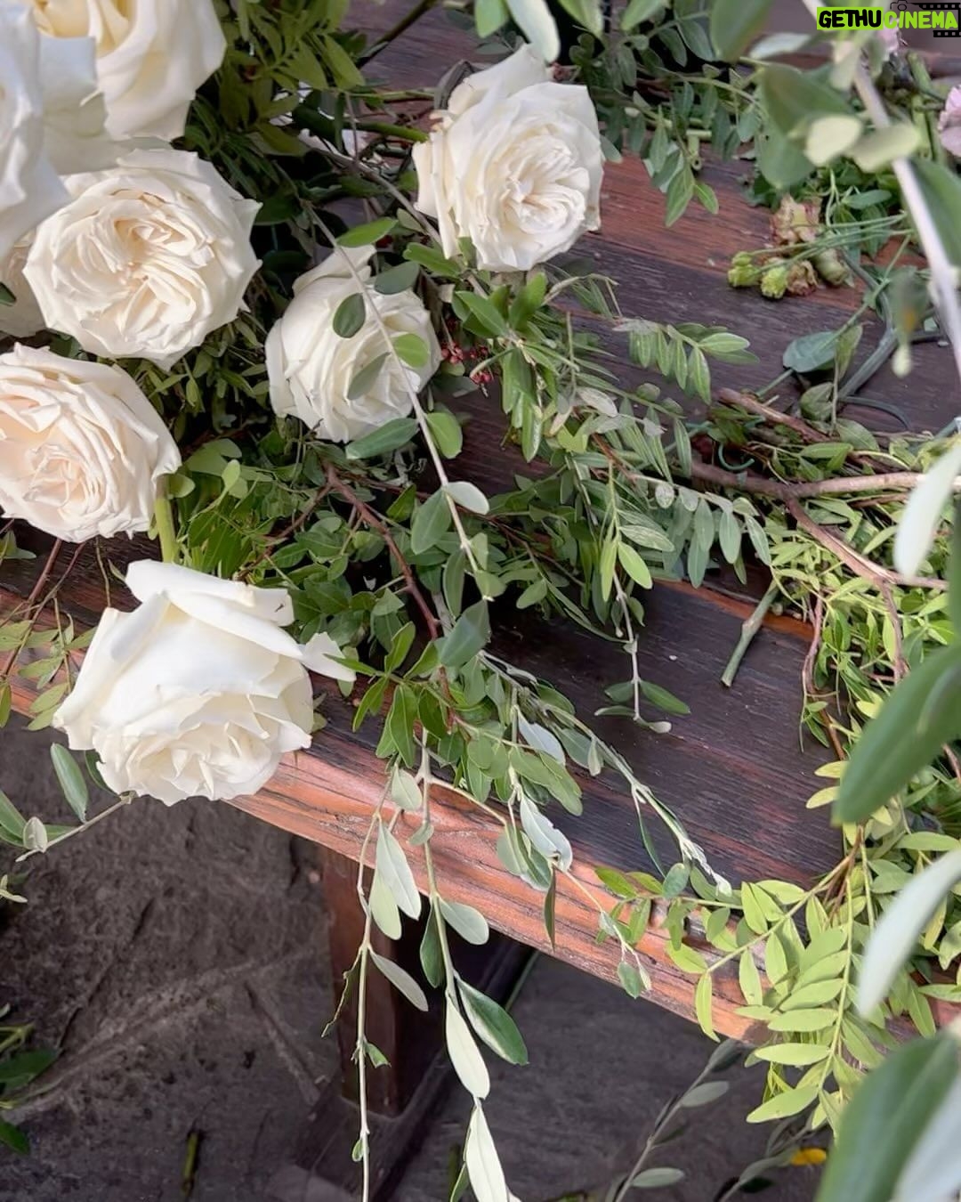 Brie Garcia Instagram - Another magical day on the farm 🌷