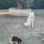 Brisa Fenoy Instagram - Luna nueva 🌙 con mi tribu perrijera entre @wakanalake y @casa_sananda un sueño 🦋