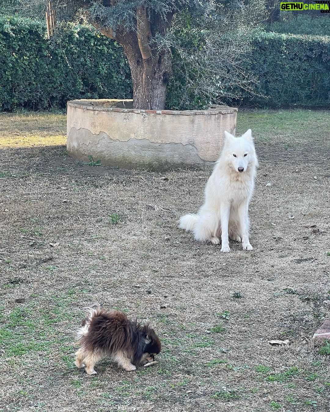 Brisa Fenoy Instagram - Luna nueva 🌙 con mi tribu perrijera entre @wakanalake y @casa_sananda un sueño 🦋