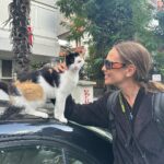 Brisa Fenoy Instagram - Estambul es el reino de Los felinos 🐈‍⬛ Yo nunca he tenido gatos y nunca había estado en contacto con ellos, aquí hay por cada esquina por cada calle en cada tienda en cada casa, los cuidan les dan de comer y los protegen, viven salvajes y libres en la ciudad, hay bebederos y comederos por todos lados y viven como reyes. Quizás en el invierno más duro lo pasen peor aunque tienen sus casitas para resguardarse del frío también.. nunca he visto tantos gatos juntos y que los amen los respeten y los cuiden así de bien🧿 para ellos son sagrados.. y para mi.. que hermosos y poderosos son .. Todos los gatos tienen el poder, a diario, de eliminar la energía negativa acumulada en nuestro cuerpo. Mientras dormimos, ellos absorben esta energía. Los gatos adoran dormir con nosotros pues nos protegen de cualquier amenaza espiritual que podamos sufrir mientras dormimos. Los Gatos son seres muy poderosos energéticamente es como si nos hicieran reiki. Absorben la energía negativa y la transmutan mientras duermen en energía positiva. Aquí algunas muestras de ello 🐅 İstanbul - Türkiye