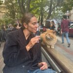 Brisa Fenoy Instagram - Estambul es el reino de Los felinos 🐈‍⬛ Yo nunca he tenido gatos y nunca había estado en contacto con ellos, aquí hay por cada esquina por cada calle en cada tienda en cada casa, los cuidan les dan de comer y los protegen, viven salvajes y libres en la ciudad, hay bebederos y comederos por todos lados y viven como reyes. Quizás en el invierno más duro lo pasen peor aunque tienen sus casitas para resguardarse del frío también.. nunca he visto tantos gatos juntos y que los amen los respeten y los cuiden así de bien🧿 para ellos son sagrados.. y para mi.. que hermosos y poderosos son .. Todos los gatos tienen el poder, a diario, de eliminar la energía negativa acumulada en nuestro cuerpo. Mientras dormimos, ellos absorben esta energía. Los gatos adoran dormir con nosotros pues nos protegen de cualquier amenaza espiritual que podamos sufrir mientras dormimos. Los Gatos son seres muy poderosos energéticamente es como si nos hicieran reiki. Absorben la energía negativa y la transmutan mientras duermen en energía positiva. Aquí algunas muestras de ello 🐅 İstanbul - Türkiye