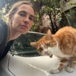 Brisa Fenoy Instagram - Istanbul çok güzel 🤍🐈‍⬛ İstanbul - Türkiye