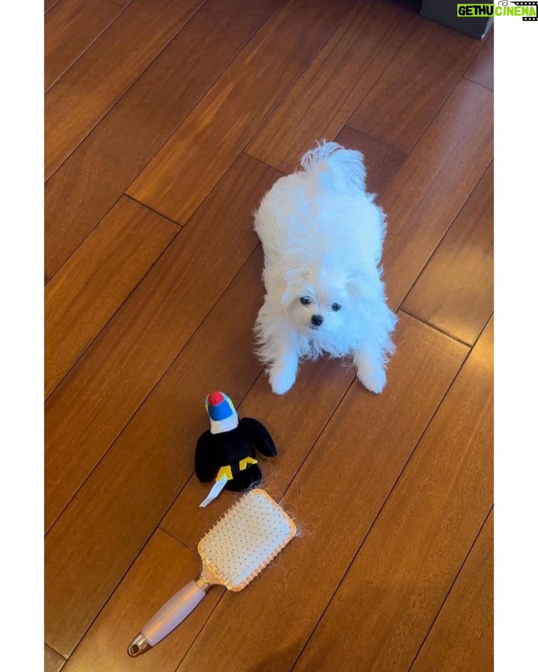 Britney Spears Instagram - π
πΌπ
πΌπ
πΌ