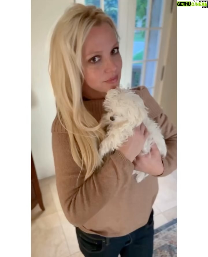 Britney Spears Instagram - She’s extremely tiny 🙃🙃 !!! But she’s ferocious and she is the queen of the universe 😉😉😉😂😡🫣🙄🙄🤫😷👆🏻!!!! Psss !!! Swap to see the day before she was groomed !!! She likes to get extremely dirty and play outside !!! She starts to hop like a bunny so I have to let her play !!! But her fur isn’t groomed here and she would be so mad at me if she knew I was posting this 😂😂😂🙈 !!! But who is to say dogs don’t have intelligent minds ??? Most people prefer the intellect of cats … I get it !!! But honestly I feel like cats are smartasses secretly !!! I can’t stand a smartass although I am one !!! I prefer dogs 100 percent !!! 📸: @intervemcao