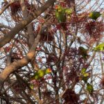 Brittany S. Hall Instagram - January raised my vibration. 😌