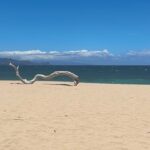 Brittany S. Hall Instagram - Aloha 🪸 Maui, Hawaii