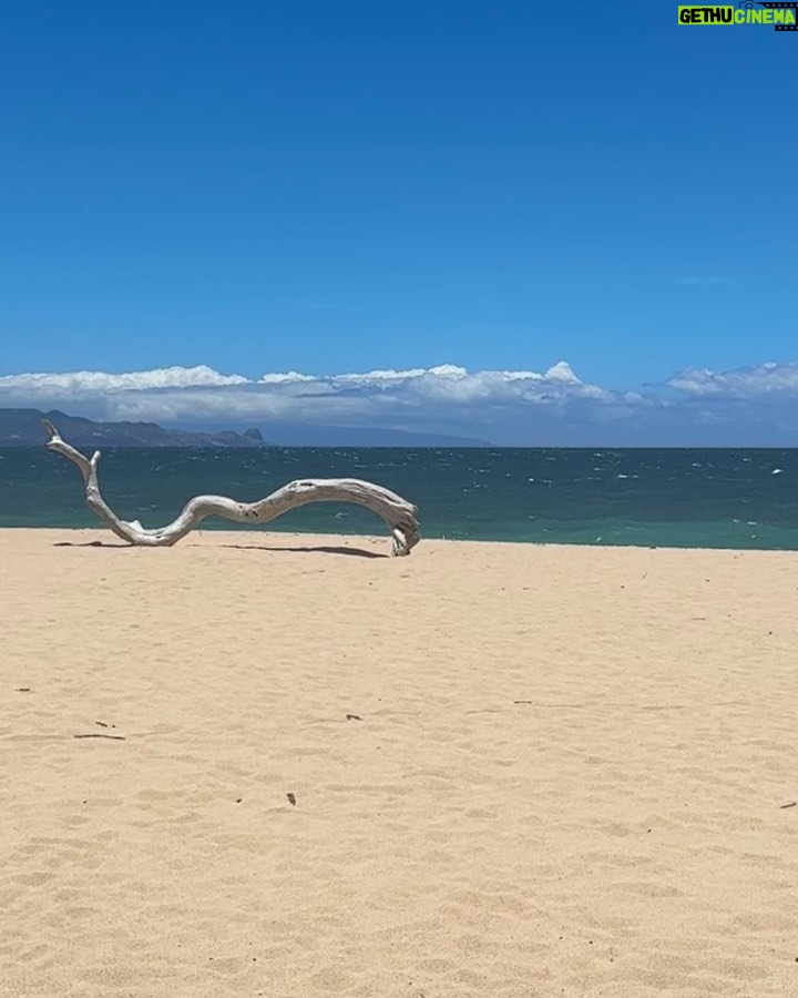 Brittany S. Hall Instagram - Aloha 🪸 Maui, Hawaii