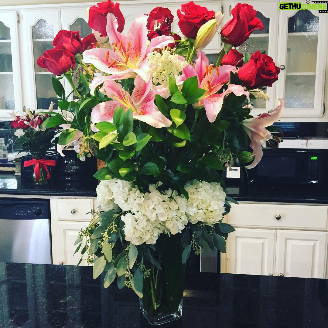 Brittany Thompson Martinez Instagram - When you're not having the best day and these show up. #justbecause #blessed #friends #luckygirl #thankyou #flowers #specialdelivery #feelingspecial #thelittlethings