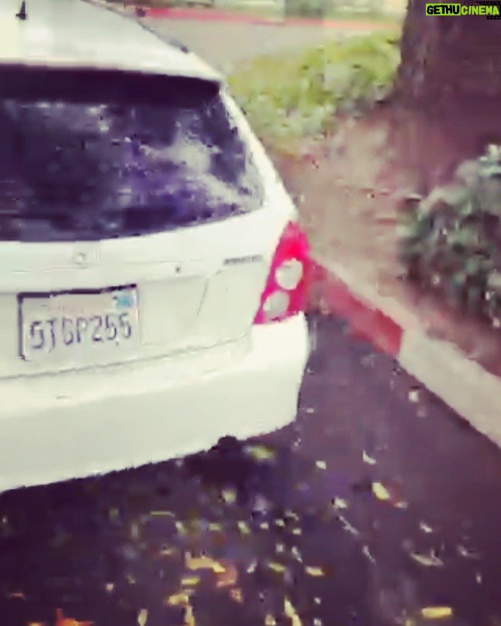 Brody Stevens Instagram - The “Push & Believe” Car. 🚙 #pleaseComeBack San Fernando Valley