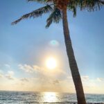 Brody Stevens Instagram - Good Morning from Florida 🌴 The Breakers Palm Beach