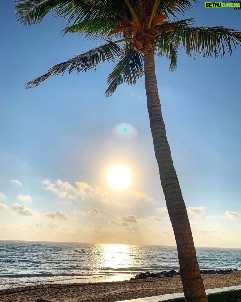 Brody Stevens Instagram - Good Morning from Florida 🌴 The Breakers Palm Beach