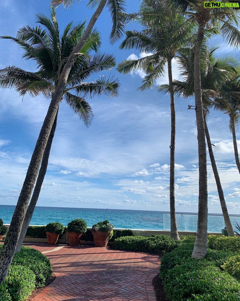 Brody Stevens Instagram - West Palm Beach, FL 🌴 Palm Beach, Florida