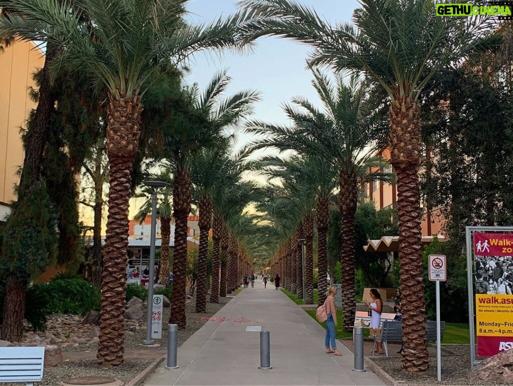 Brody Stevens Instagram - Arizona State University. Getting our steps in today. Flashing back to 1988, my freshman year in Tempe. The campus keeps growing & expanding. Beautiful architecture, pleasant to the eye. Much like this great state. 🌵 #familyRoots #NativeAmericanArt