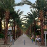 Brody Stevens Instagram – Arizona State University. Getting our steps in today. Flashing back to 1988, my freshman year in Tempe. The campus keeps growing & expanding. Beautiful architecture, pleasant to the eye. Much like this great state. 🌵 #familyRoots #NativeAmericanArt