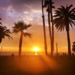 Brody Stevens Instagram – 🌅 Santa Monica, California