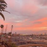 Brody Stevens Instagram - My late-afternoon in Santa Monica. 🌴🌊