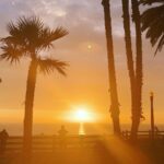 Brody Stevens Instagram - My late-afternoon in Santa Monica. 🌴🌊
