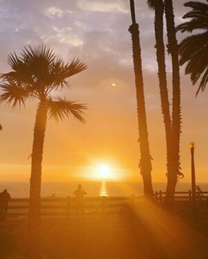 Brody Stevens Instagram - My late-afternoon in Santa Monica. 🌴🌊