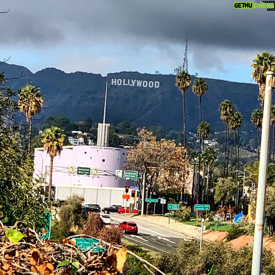 Brody Stevens Instagram - 🌴 Hollywood 🌴 Denny's
